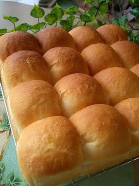 はちみつみるくちぎりパン